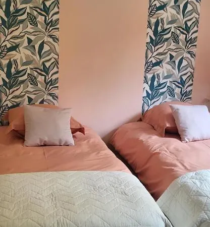 La Plante, Tendance Et Design * Орнан